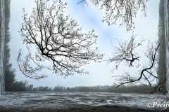 Flying branches into the sky - fliegende Äste in den Himmel