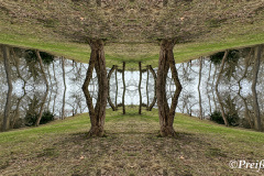 Path through fragile tree pillars into the earth cathedrals - Weg durch fragile Baumsäulen in die Erdenkathedrale
