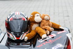 gib dem Affen Bananen