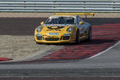Porsche Cup