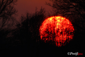 Atelier Natur (Portfolio)
