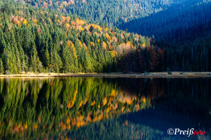 Landschaften (Portfolio)