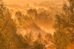 Morning fog - Morgennebel