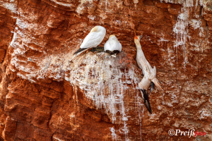 Mensch und Natur (Portfolio)