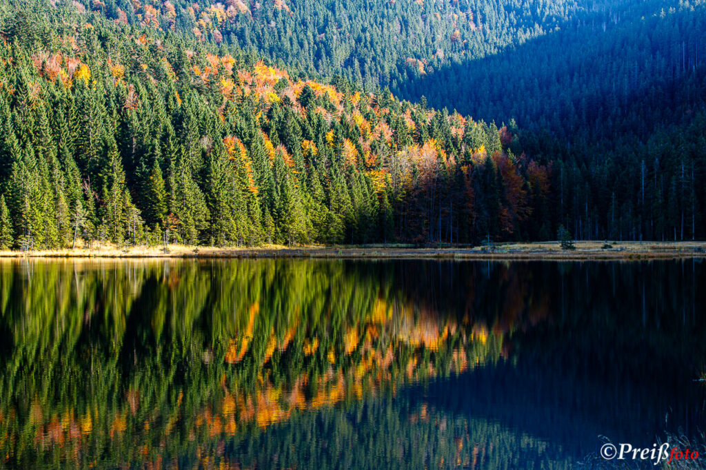 Herbstlandschaft mit See und bunten Bäumen